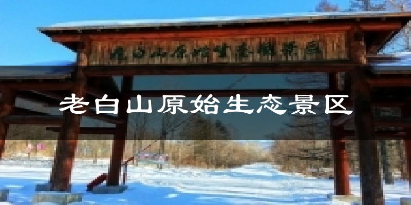 敦化老白山原始生态景区天气预报未来一周