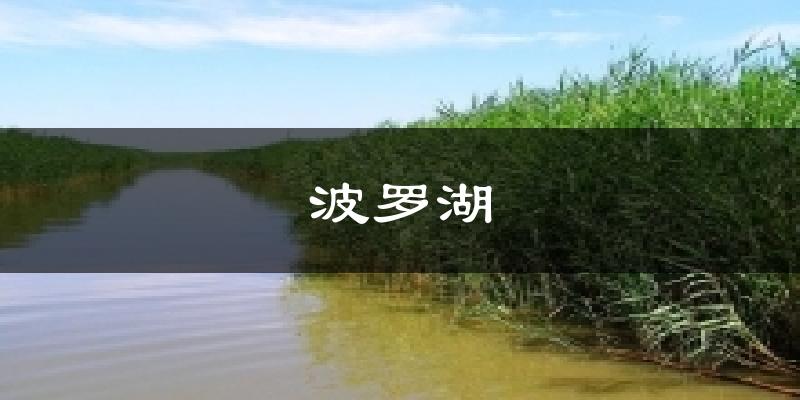 农安波罗湖天气预报未来一周