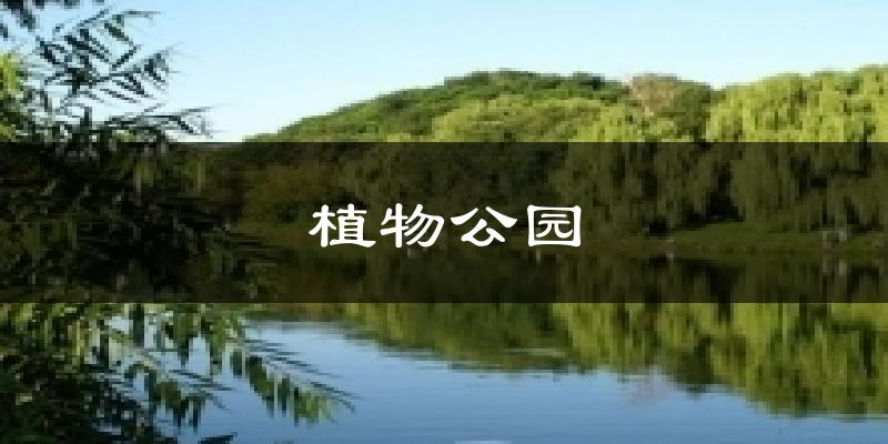 植物公园天气预报十五天