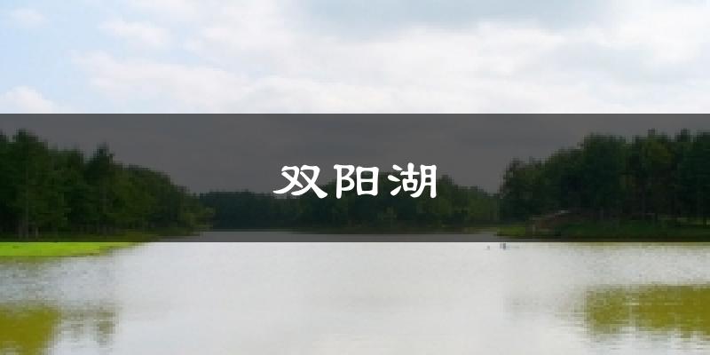 双阳湖今日天气