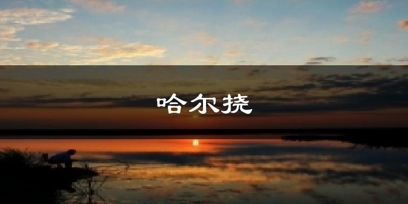 哈尔挠天气预报十五天