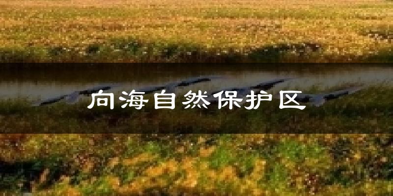 向海自然保护区气温