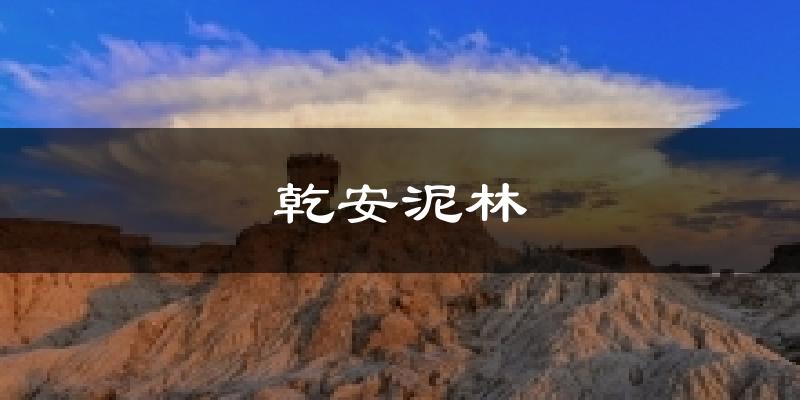 乾安泥林天气预报十五天