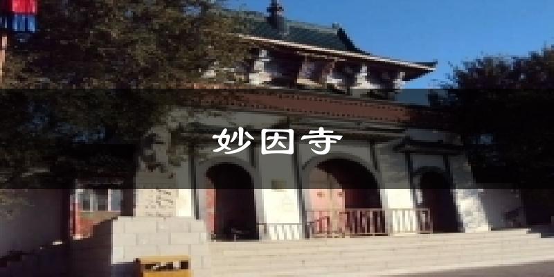 前郭妙因寺天气预报未来一周