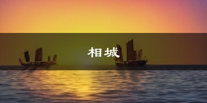 苏州相城天气预报未来一周