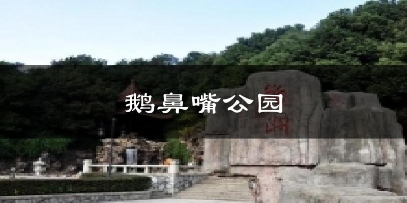 江阴鹅鼻嘴公园天气预报未来一周