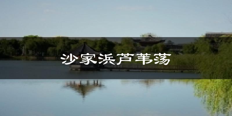 沙家浜芦苇荡气温