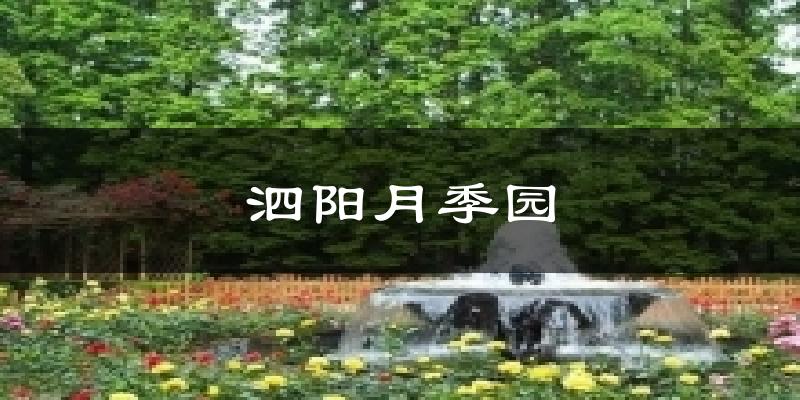 泗阳月季园天气预报十五天