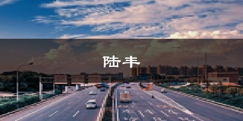 陆丰天气预报未来一周